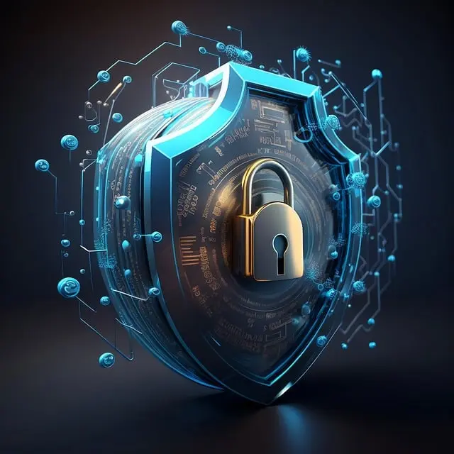 website security