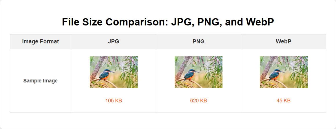 File Size Comparison