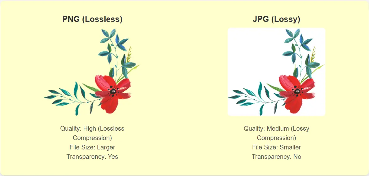 PNG vs JPG