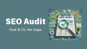 SEO Audit Feature