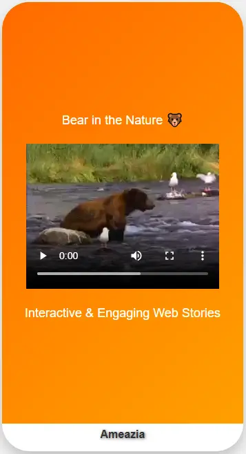 Web Stories Mobile View